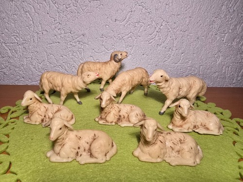 Grandi pecore vecchie - grandi,